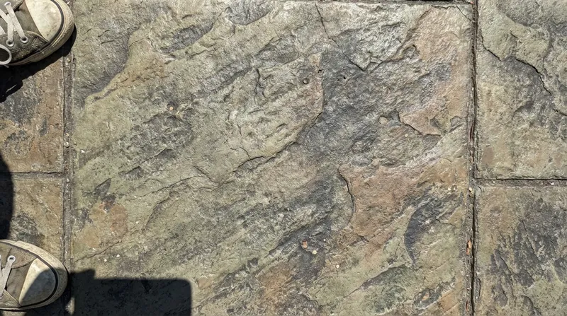 Close-up of stamped concrete pattern, texture and color detail in Kenosha